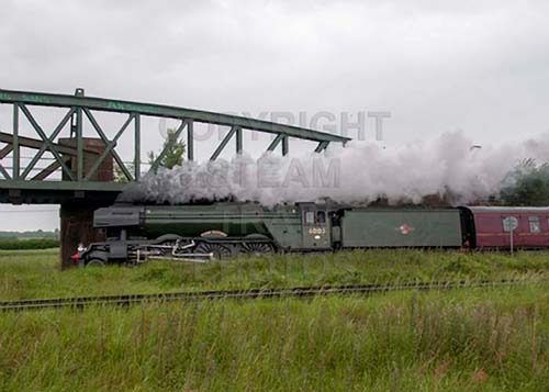 See large image